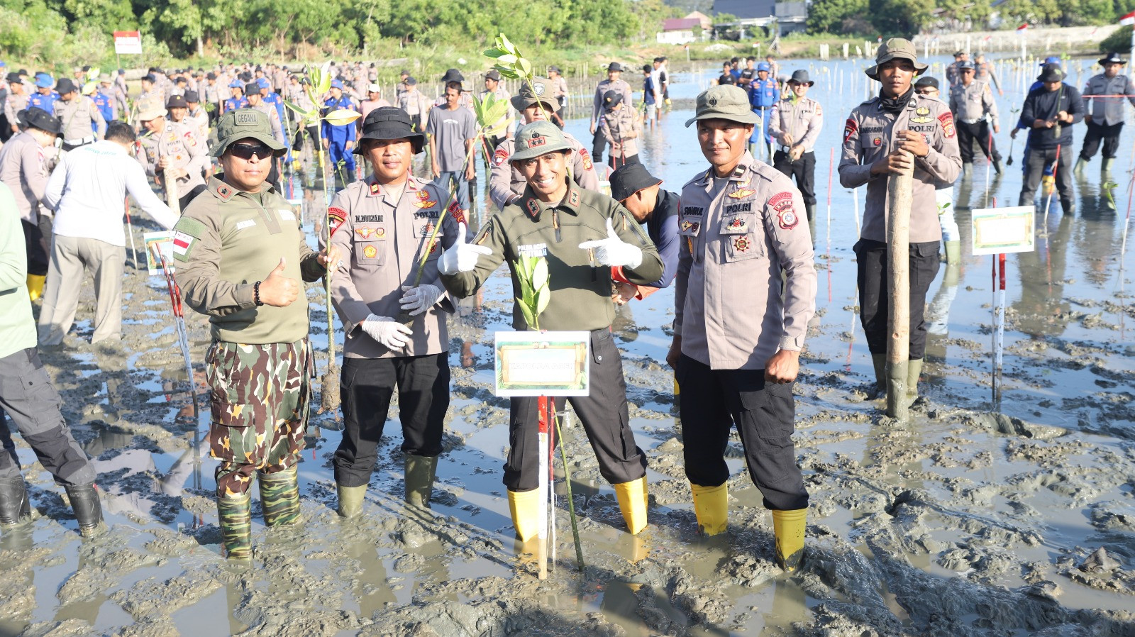 Green Policing Polda Aceh, Tanam 10 Ribu Mangrove untuk Perkuat Ketahanan Ekologi dan Ekonomi Desa Pesisir